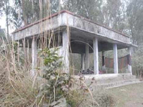 Sai neglect burial site